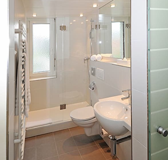 חדר ביזנס, Sommerau Ticino Swiss Quality