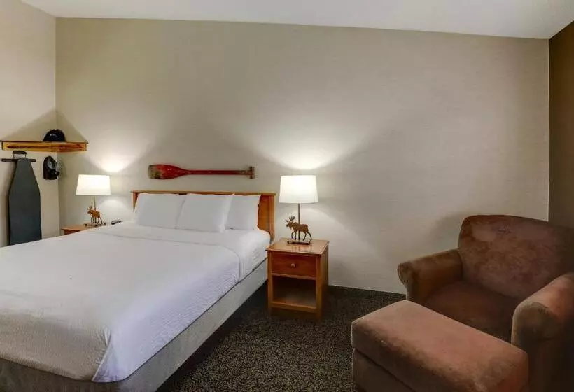 اتاق استاندارد با تخت بزرگ, Stoney Creek Inn Quincy