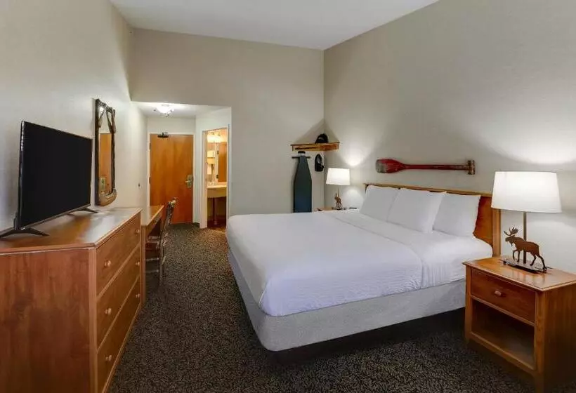 اتاق استاندارد با تخت بزرگ, Stoney Creek Inn Quincy