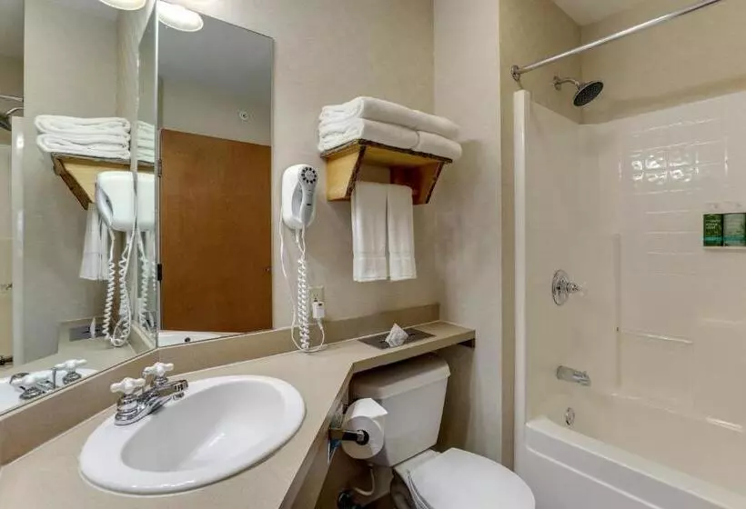 اتاق استاندارد با تخت بزرگ, Stoney Creek Inn Quincy