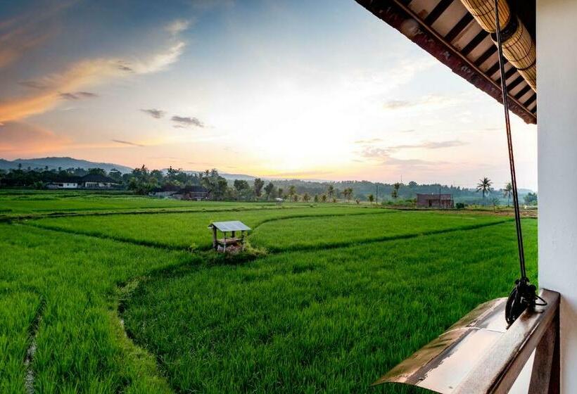 带1个卧室的别墅, Medewi Surf Villa