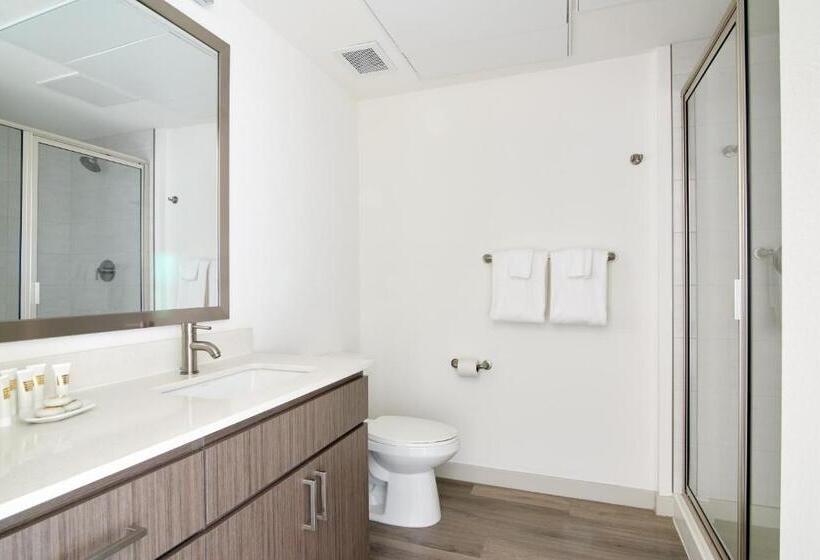 带1个卧室的带阳台的公寓, Sonder At Hance Park