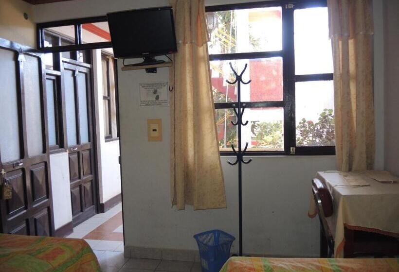 اتاق استاندارد با سرویس بهداشتی مشترک, Hostal Valle Hermoso