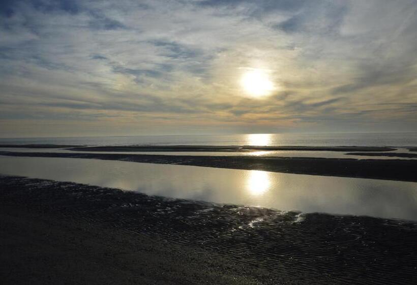 غرفة سوبيريور, Breeze Ameland