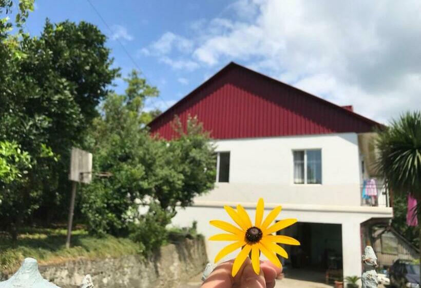 اتاق استاندارد با سرویس بهداشتی مشترک, Nika's Guest House