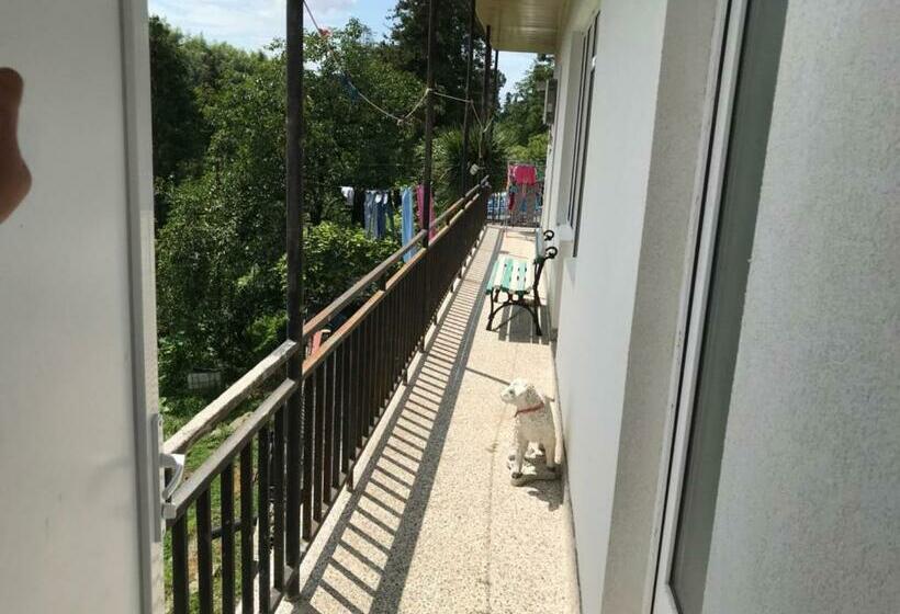 اتاق استاندارد با سرویس بهداشتی مشترک, Nika's Guest House