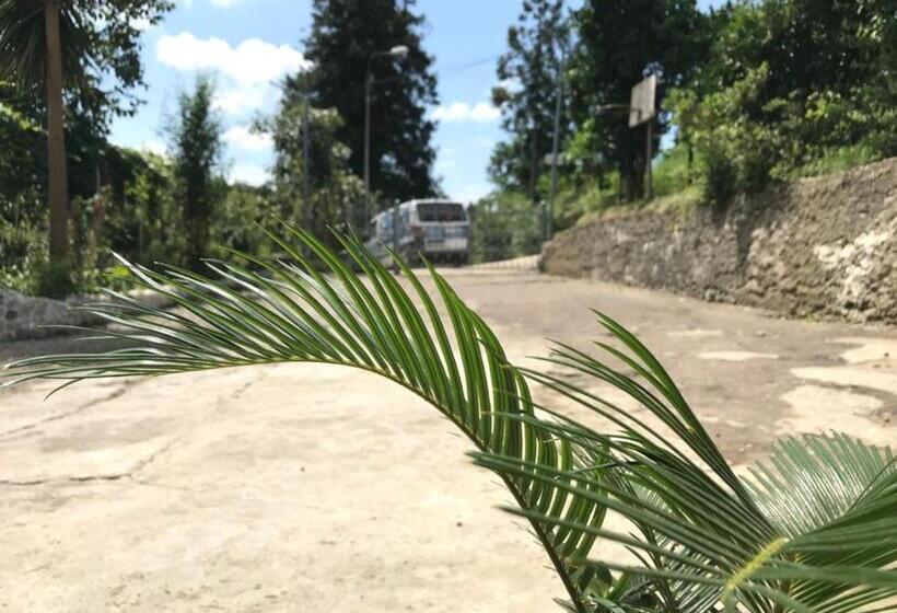 اتاق استاندارد با سرویس بهداشتی مشترک, Nika's Guest House