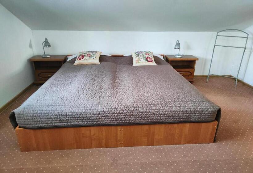 스탠다드 싱글 룸, Penzión Encián