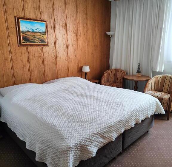 스탠다드 싱글 룸, Penzión Encián