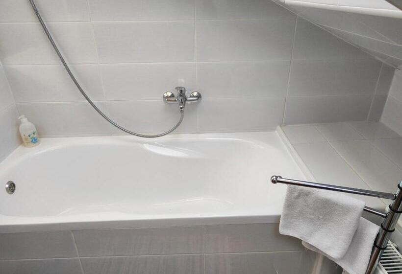 스탠다드 싱글 룸, Penzión Encián