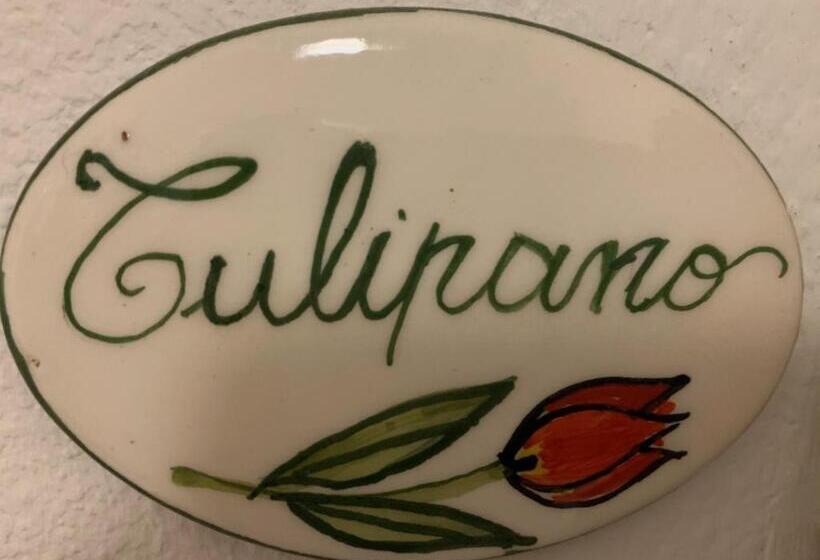 اتاق استاندارد یک تخته با سرویس بهداشتی مشترک, Poggio Del Sole Guest House