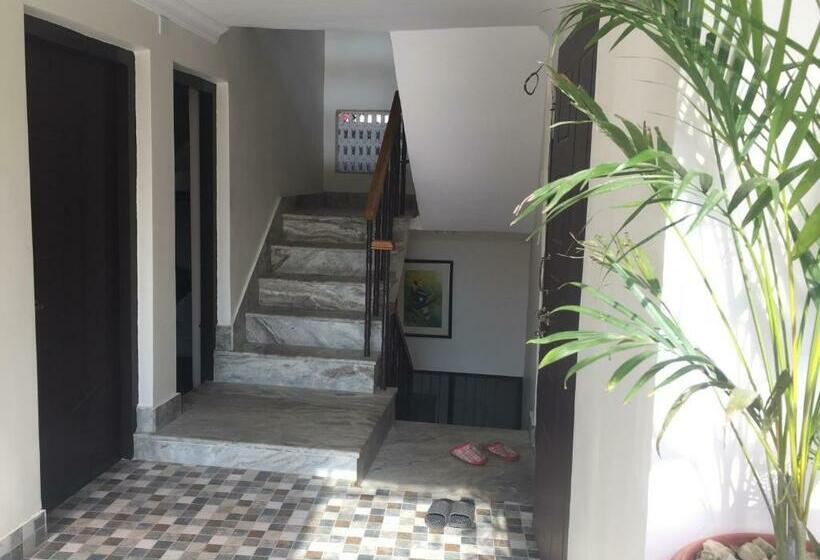 اتاق استاندارد یک نفره, Birds Nest Hostel