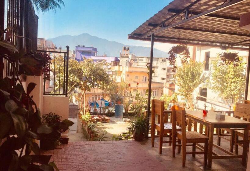 اتاق استاندارد یک نفره, Birds Nest Hostel