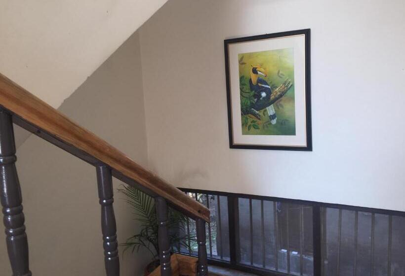 اتاق لوکس, Birds Nest Hostel