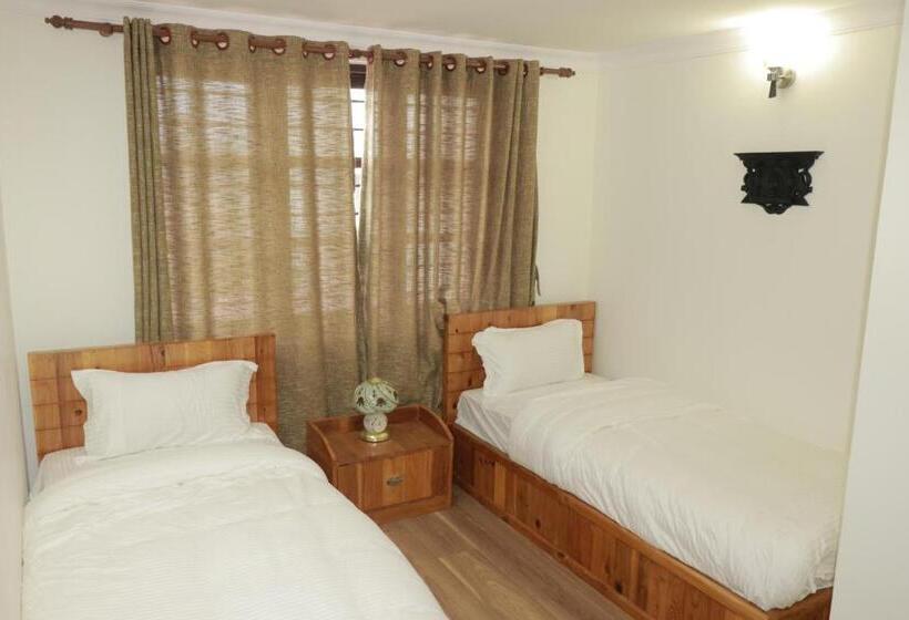 اتاق لوکس, Birds Nest Hostel