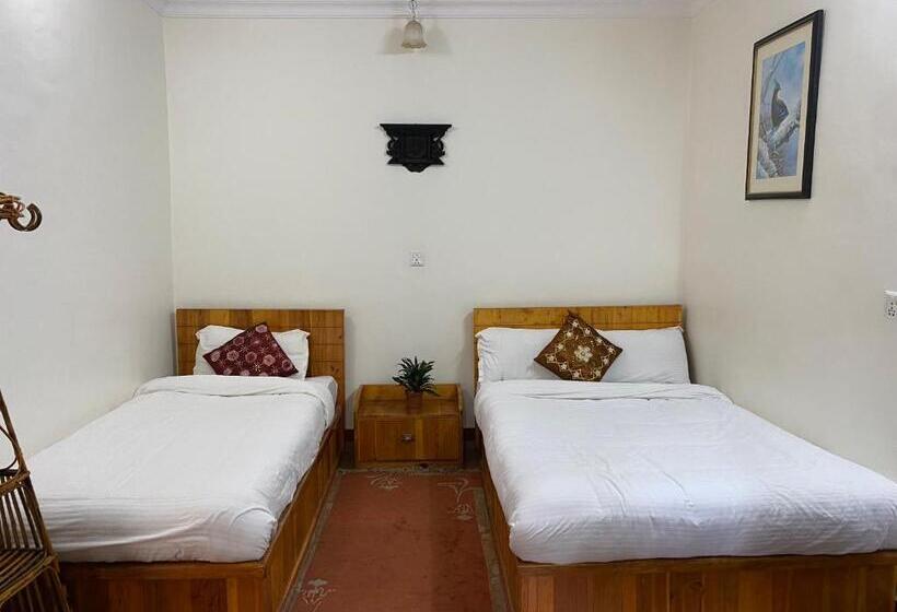 اتاق استاندارد سه نفره, Birds Nest Hostel
