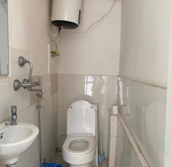 اتاق استاندارد, Birds Nest Hostel