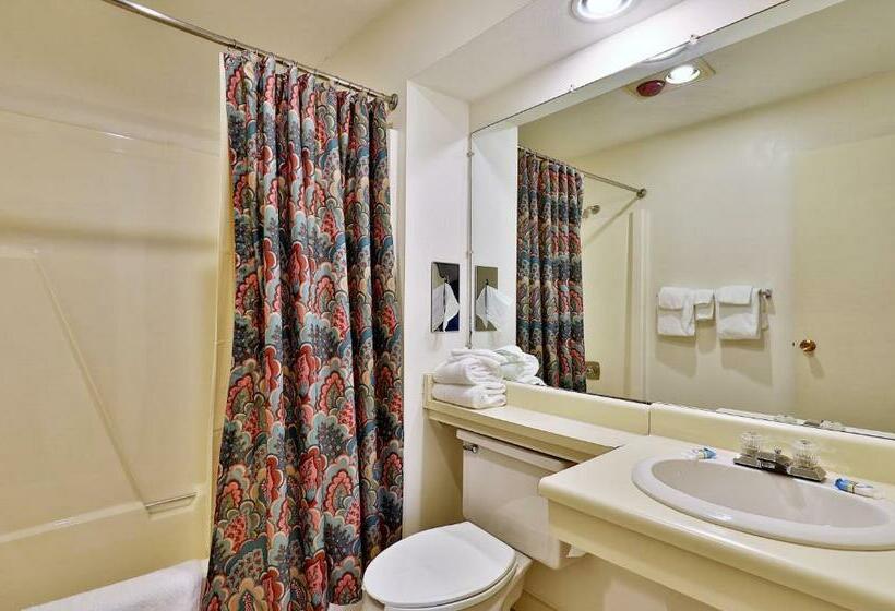 Люкс, Cedarbrook Queen Suite 203