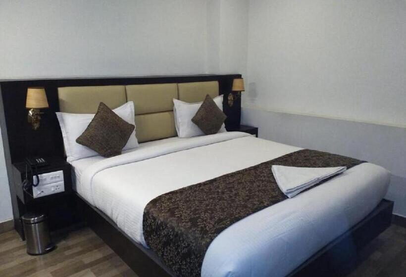 Delüks Oda, Saravanaa Residency