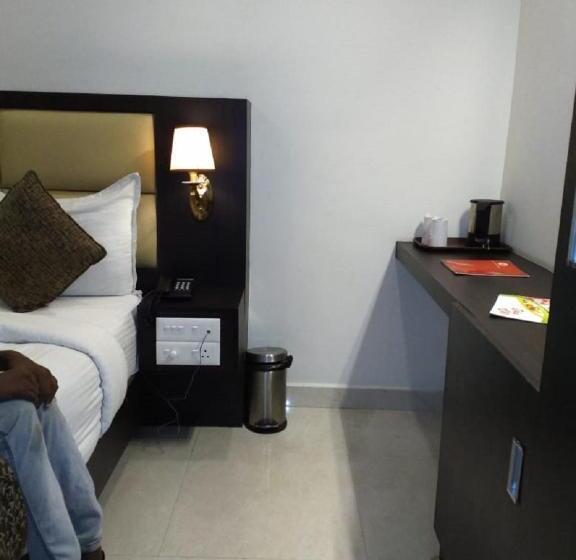 Delüks Oda, Saravanaa Residency