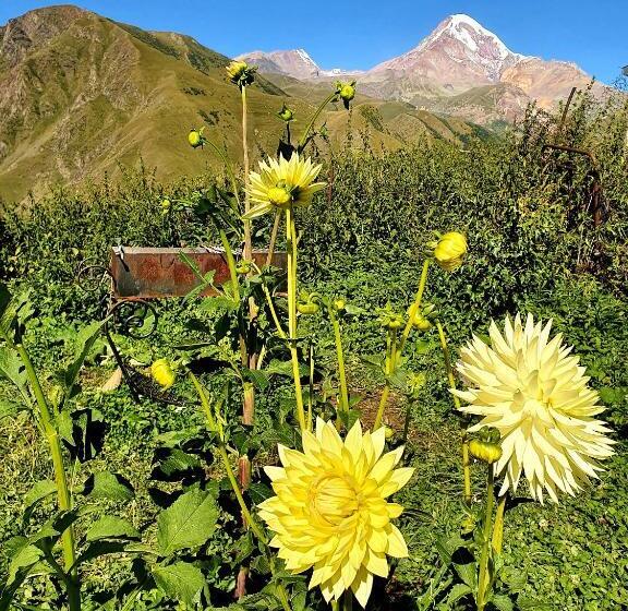 اتاق استاندارد چهار تخته, Nikolo Inn