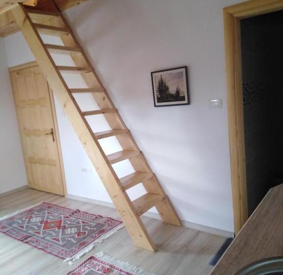 آپارتمان 1 خوابه با تراس, Apartments Durmitor