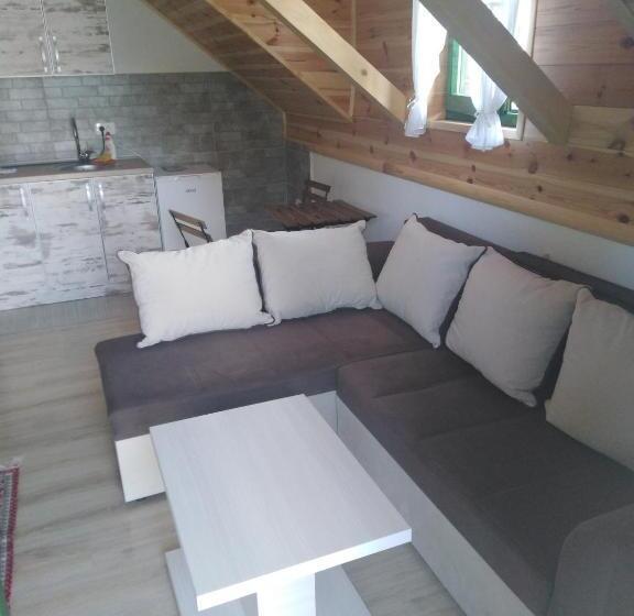 آپارتمان 1 خوابه با تراس, Apartments Durmitor