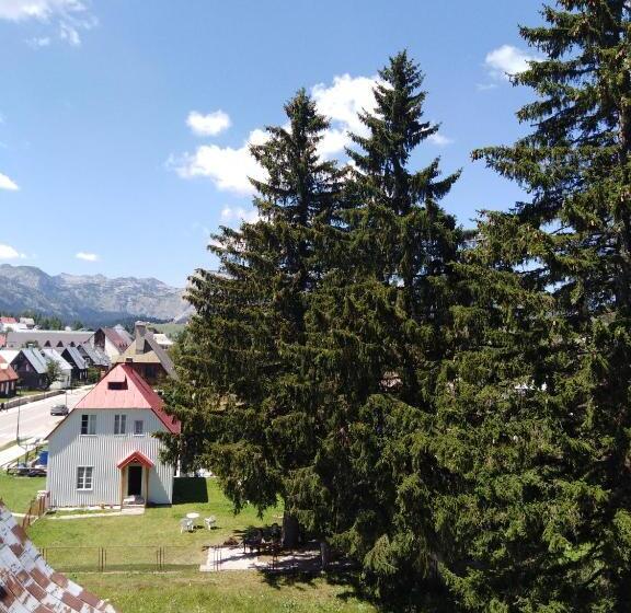 آپارتمان 1 خوابه با تراس, Apartments Durmitor