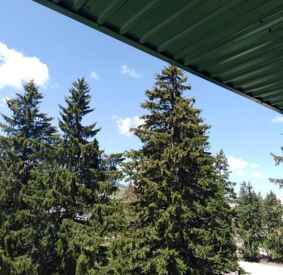 آپارتمان 1 خوابه با تراس, Apartments Durmitor