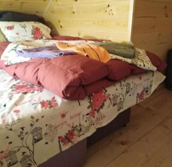 آپارتمان 1 خوابه با تراس, Apartments Durmitor