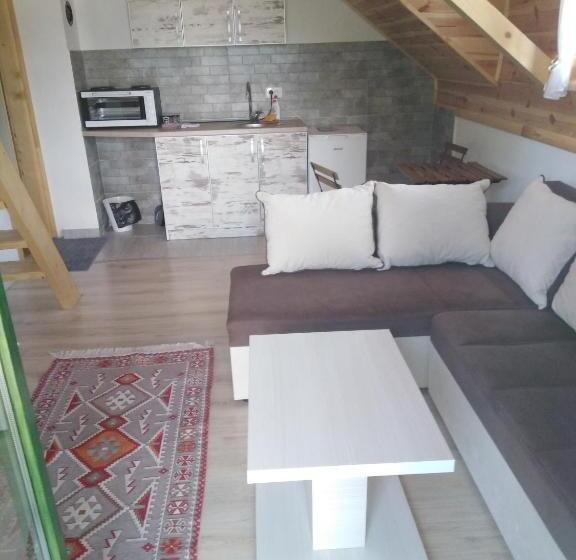 آپارتمان 1 خوابه با تراس, Apartments Durmitor