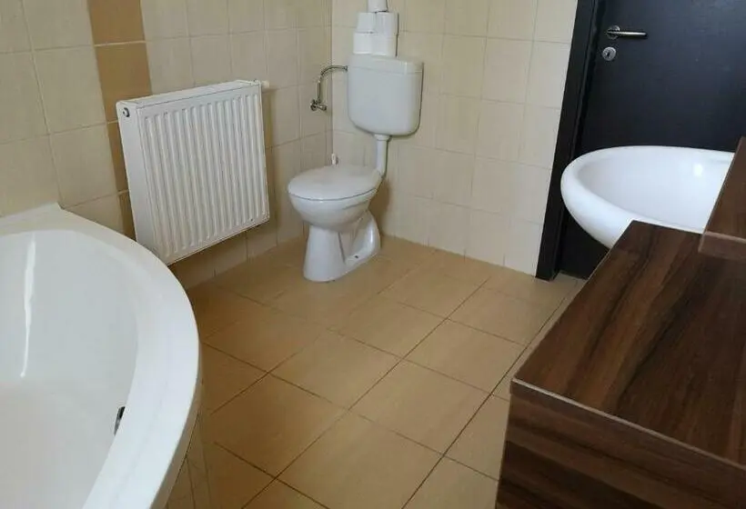 آپارتمان 1 خوابه با چشم‌انداز باغ, Borostyán Panzió Balatonfüred