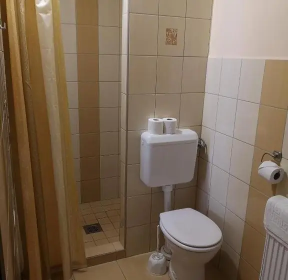 آپارتمان 1 خوابه با تراس, Borostyán Panzió Balatonfüred