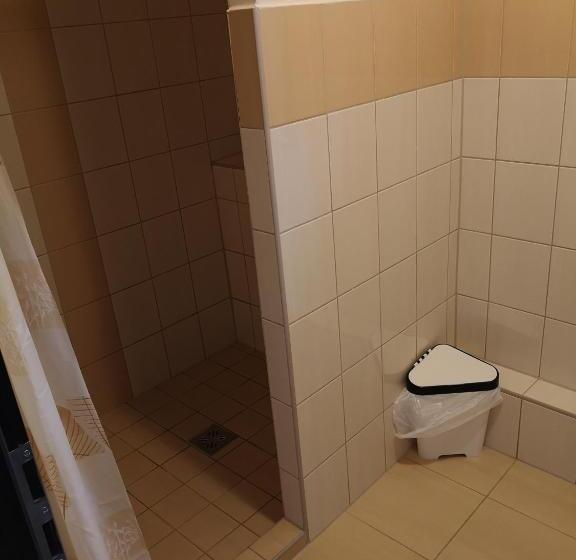 Апартаменты 1 Спальня Вид на Бассейн, Borostyán Panzió Balatonfüred