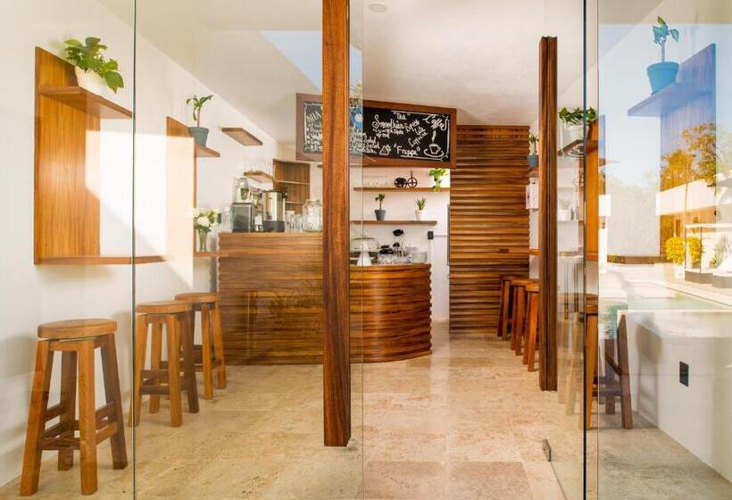 주니어 스위트, Avela Boutique