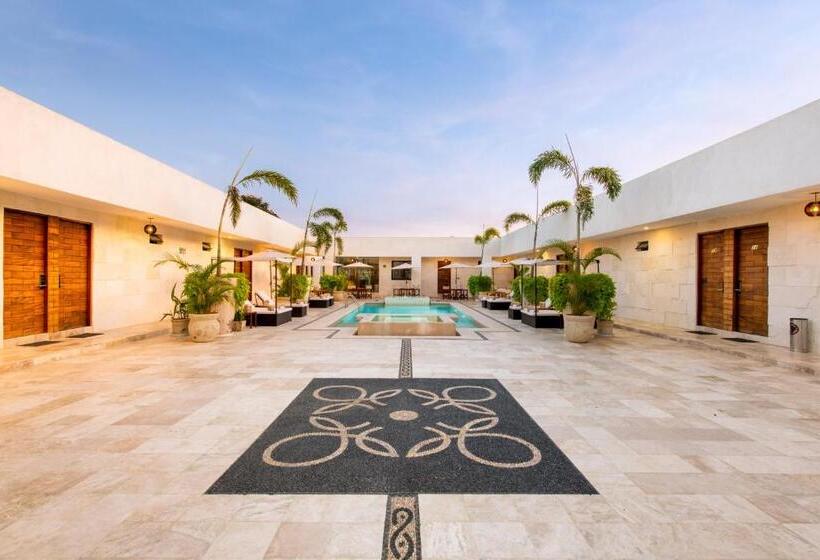 디럭스 주니어 스위트, Avela Boutique