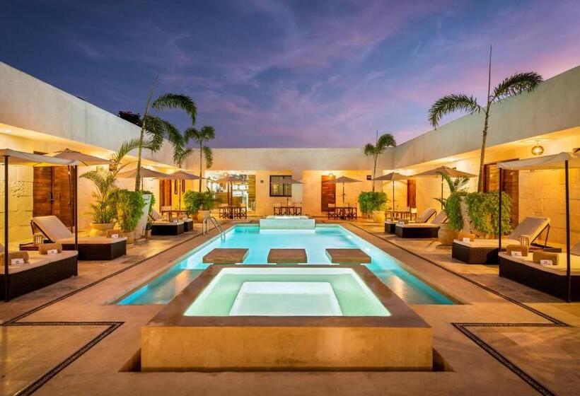 디럭스 주니어 스위트, Avela Boutique