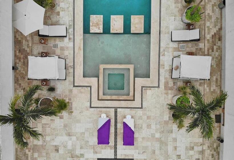 디럭스 스위트, Avela Boutique