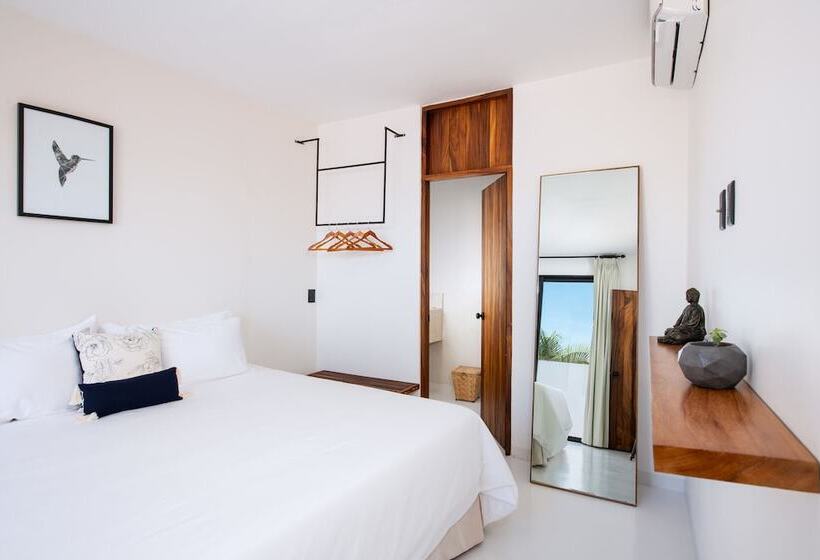 주니어 스위트, Avela Boutique