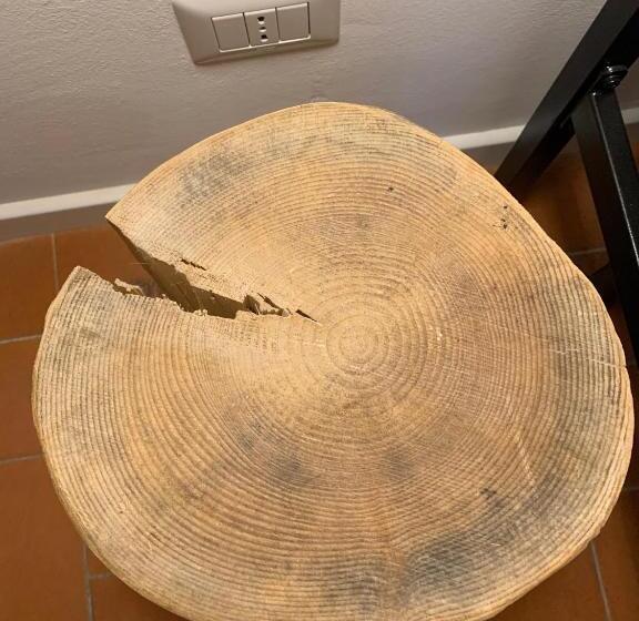 اتاق لوکس با چشم‌انداز شهر, Domus Plaza