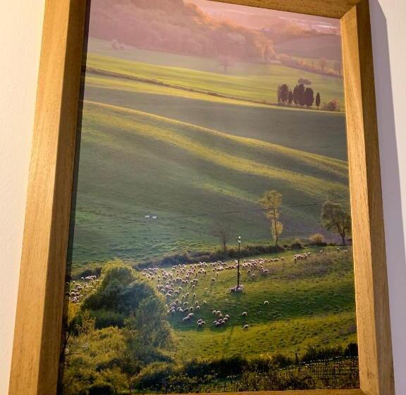 اتاق سوپریور با چشم‌انداز شهر, Domus Plaza