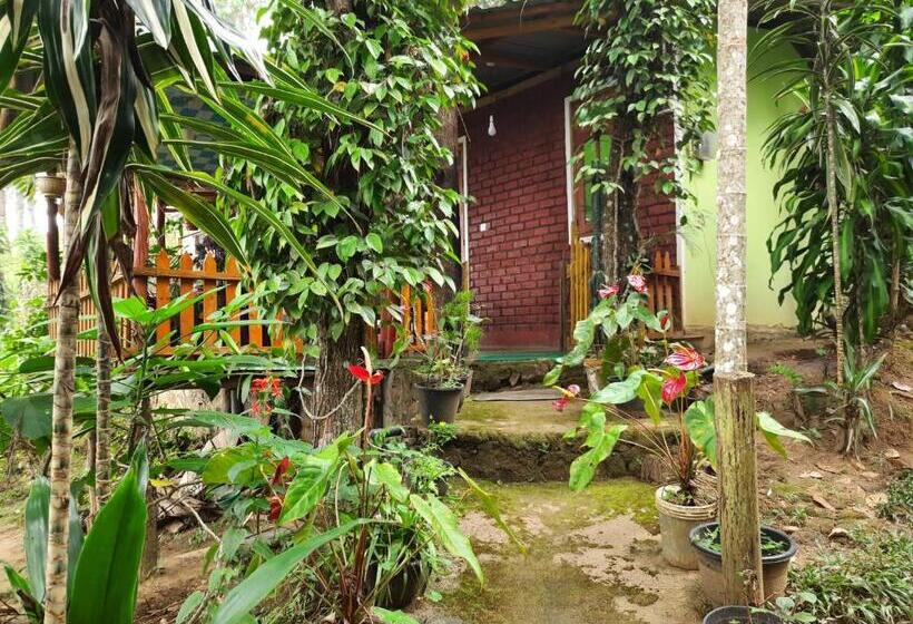 패밀리 룸, Green Heaven Lodge