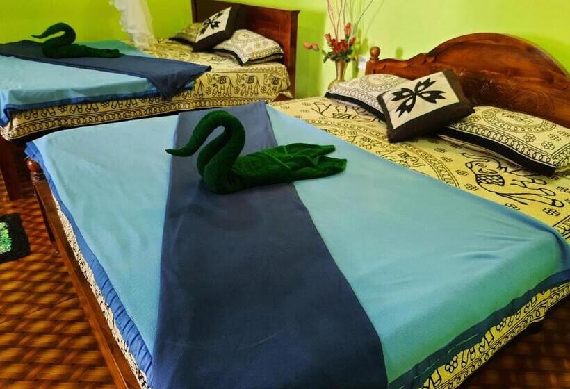 패밀리 룸, Green Heaven Lodge