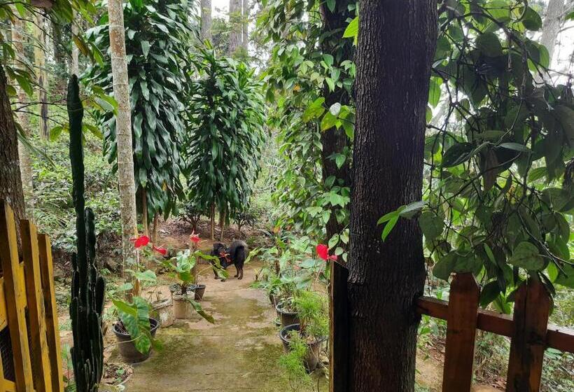 디럭스 룸 킹사이즈 침대, Green Heaven Lodge