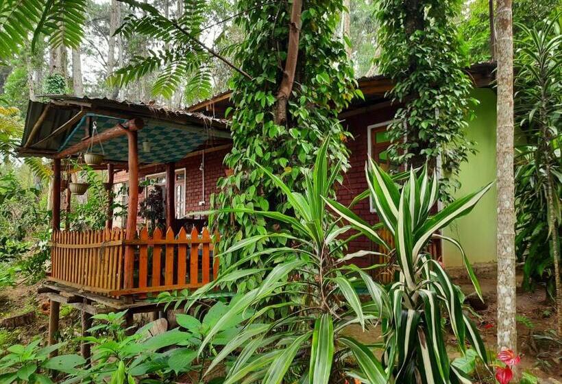 디럭스 룸 킹사이즈 침대, Green Heaven Lodge