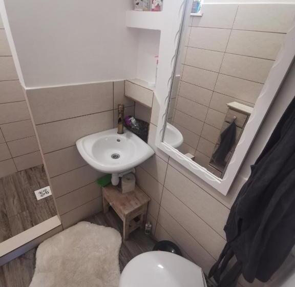 家庭间, Karikatúra Vendégház