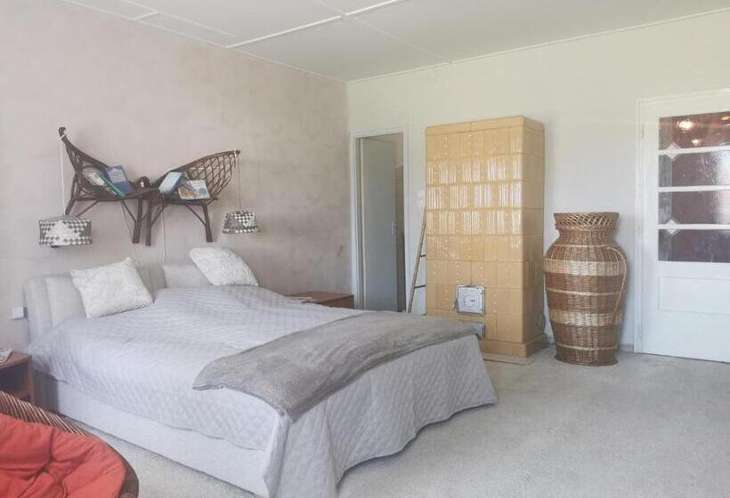 家庭间, Karikatúra Vendégház