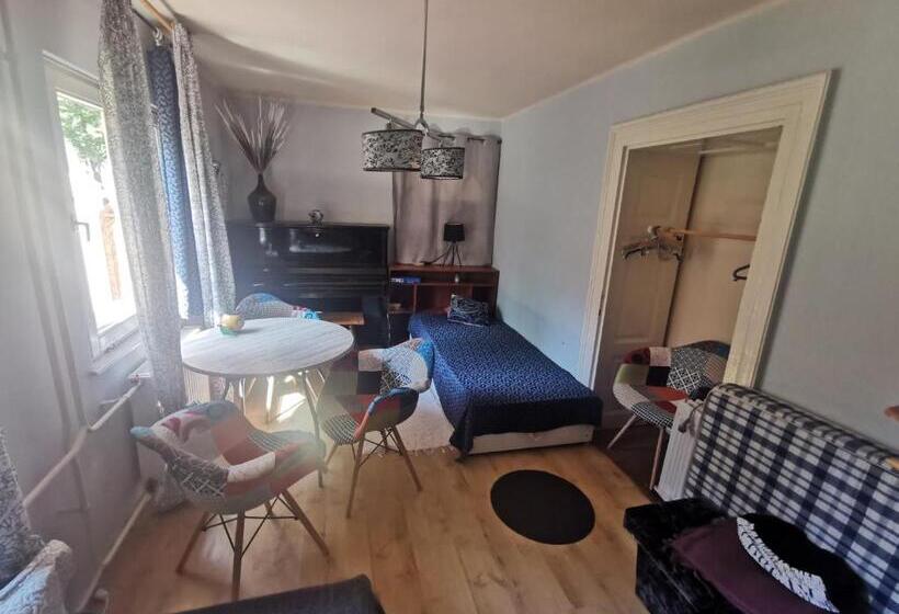 家庭间, Karikatúra Vendégház