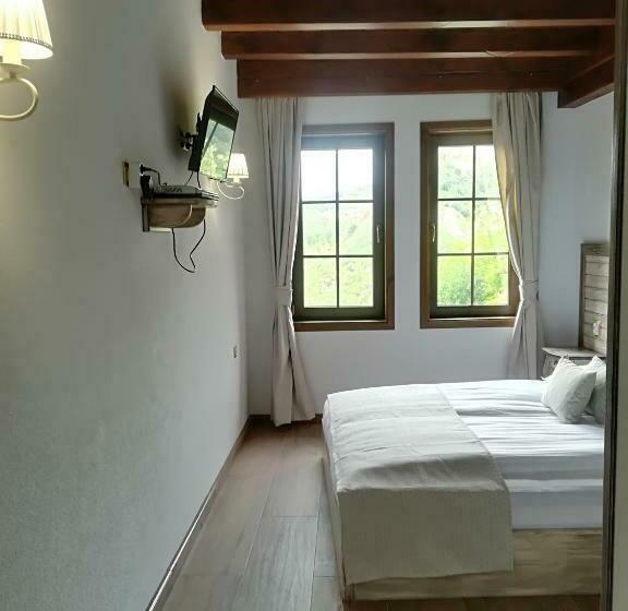 싱글 디럭스 룸, Manoleva House