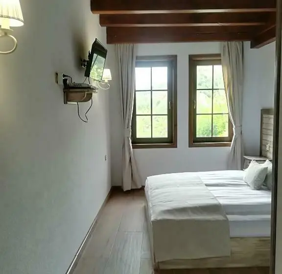 シングルデラックスルーム, Manoleva House